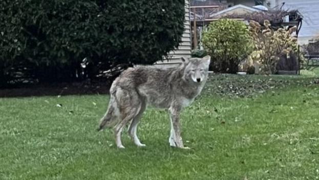 November 14 recap: Southern Wisconsin news you may have missed today